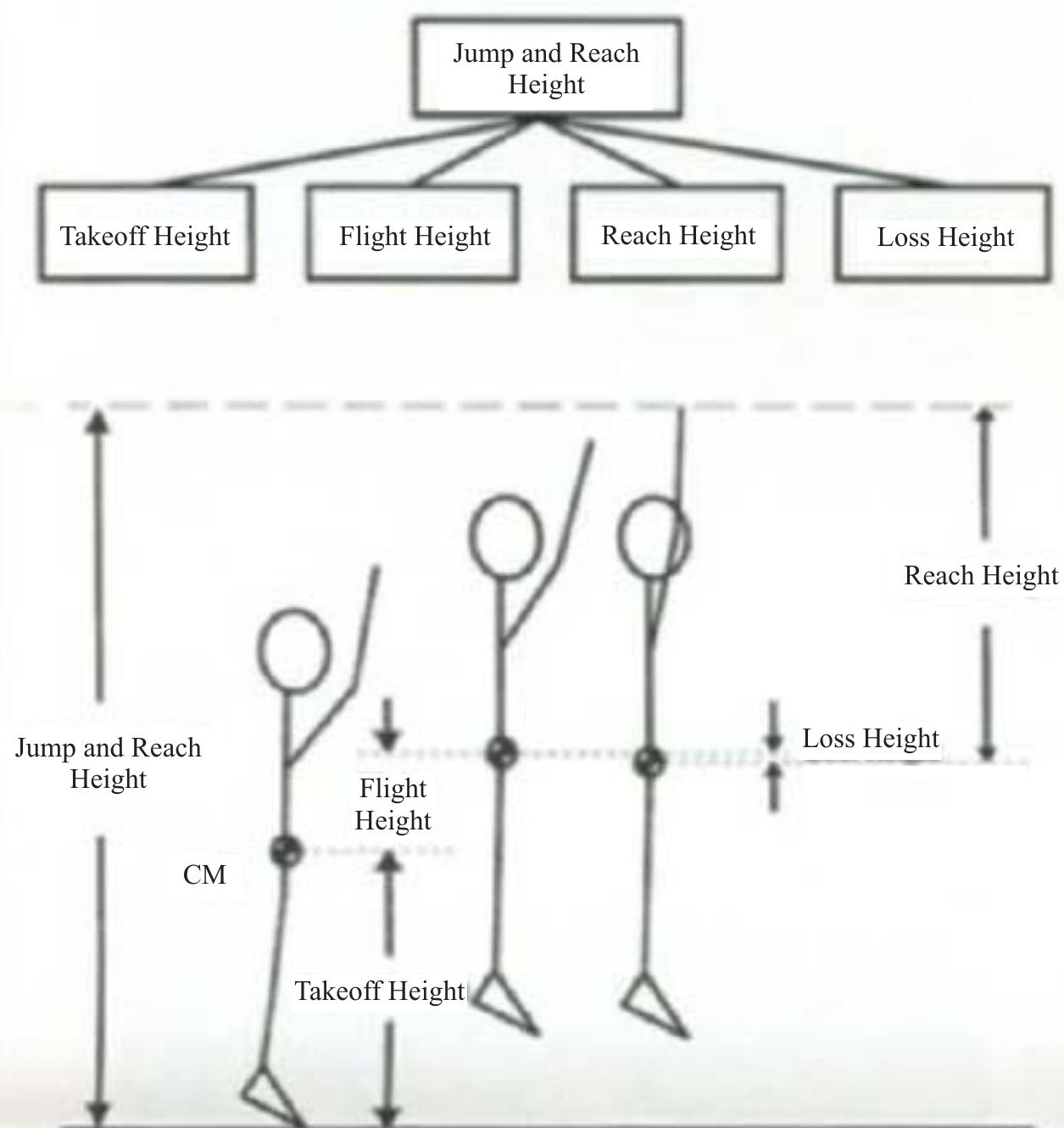 - deterministic model and illustration of simple factors