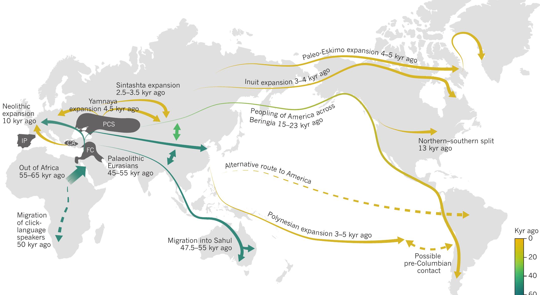 (PDF) Tracing the peopling of the world through genomics
