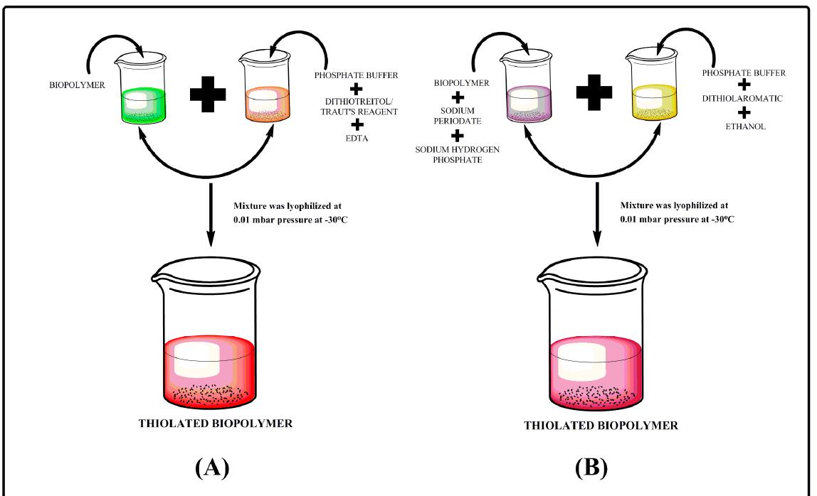(PDF) Thiolation of Biopolymers for Developing Drug Delivery Systems ...