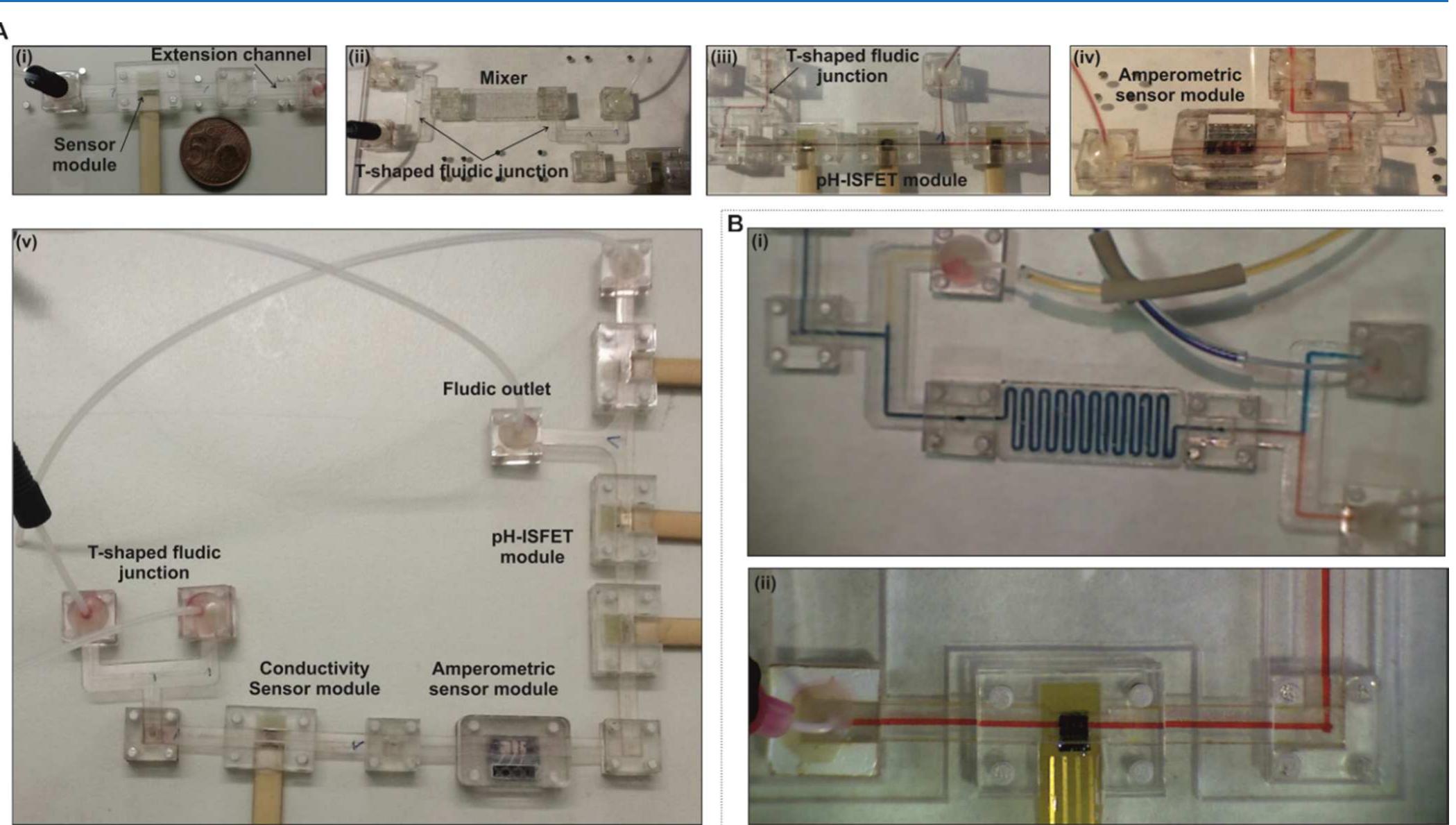 Figure 5 - from Microfluidic Modules with Integrated