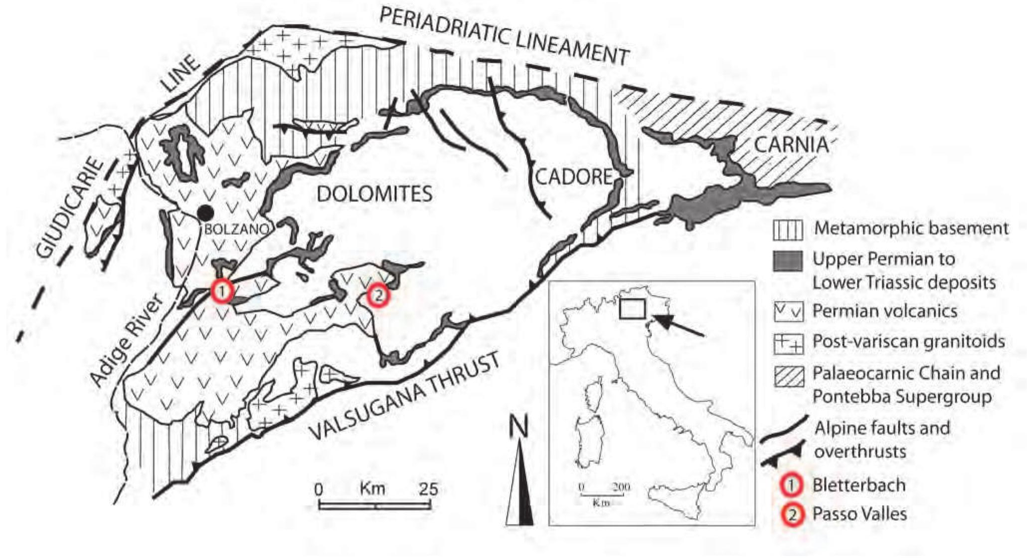 Undichna Fish Figure 1 - from FIRST REPORT OF SWIMMING TRACE FOSSILS OF