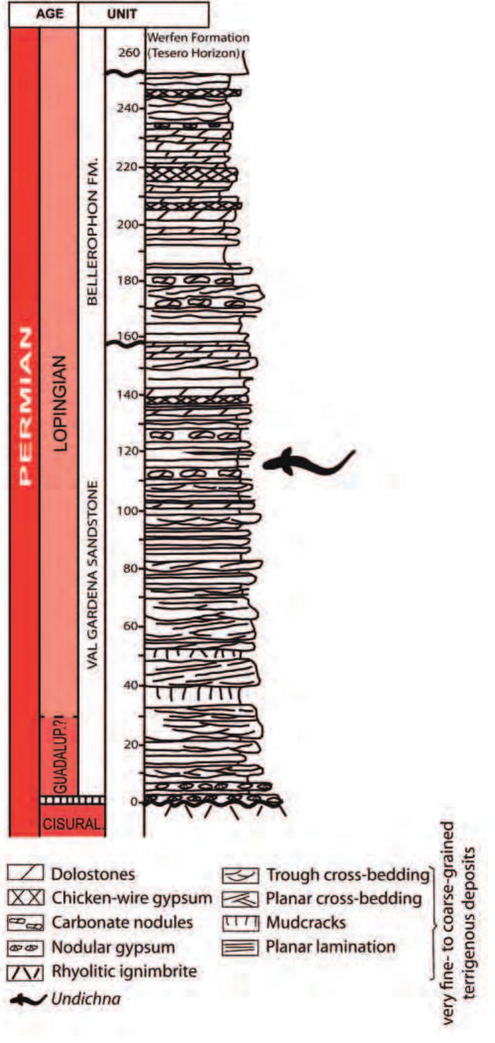 Undichna Fish Figure 1 - from FIRST REPORT OF SWIMMING TRACE FOSSILS OF