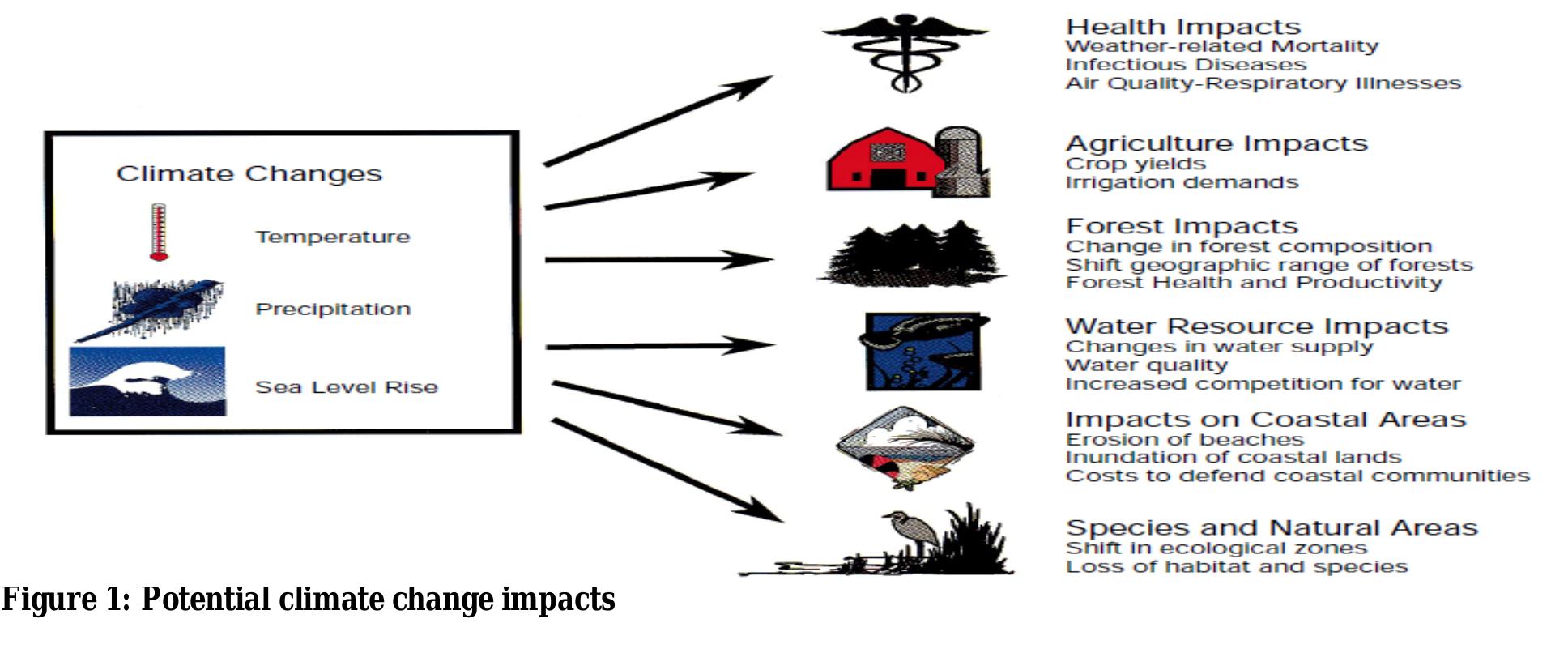(PDF) PERCEPTION OF THE RISK OF CLIMATE CHANGE AND ITS IMPACT ON HUMAN ...