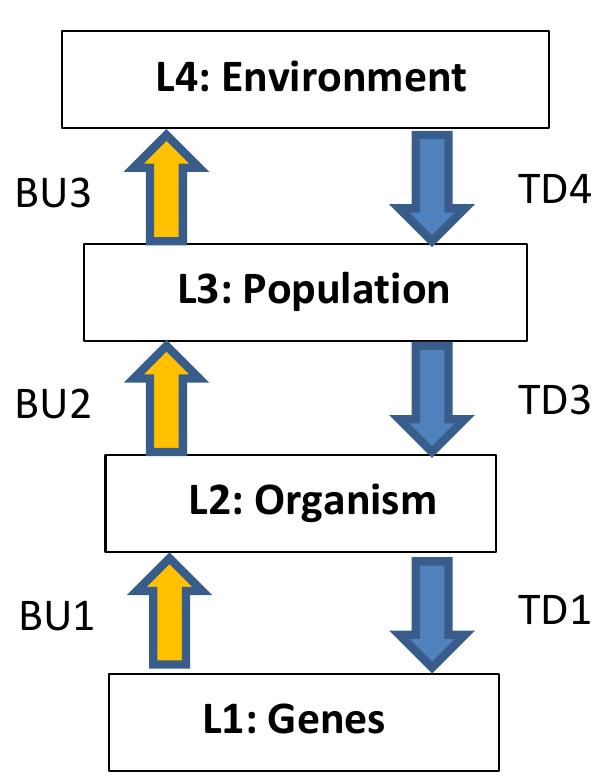 (PDF) Controversy in Evolutionary Theory: A multilevel view of the issues