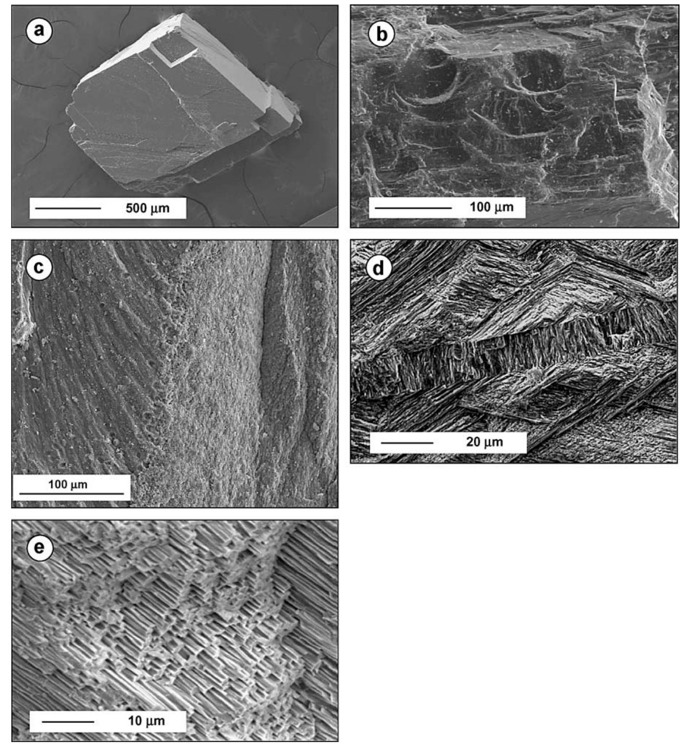 (PDF) Experimental determination of the dissolution rates of calcite ...