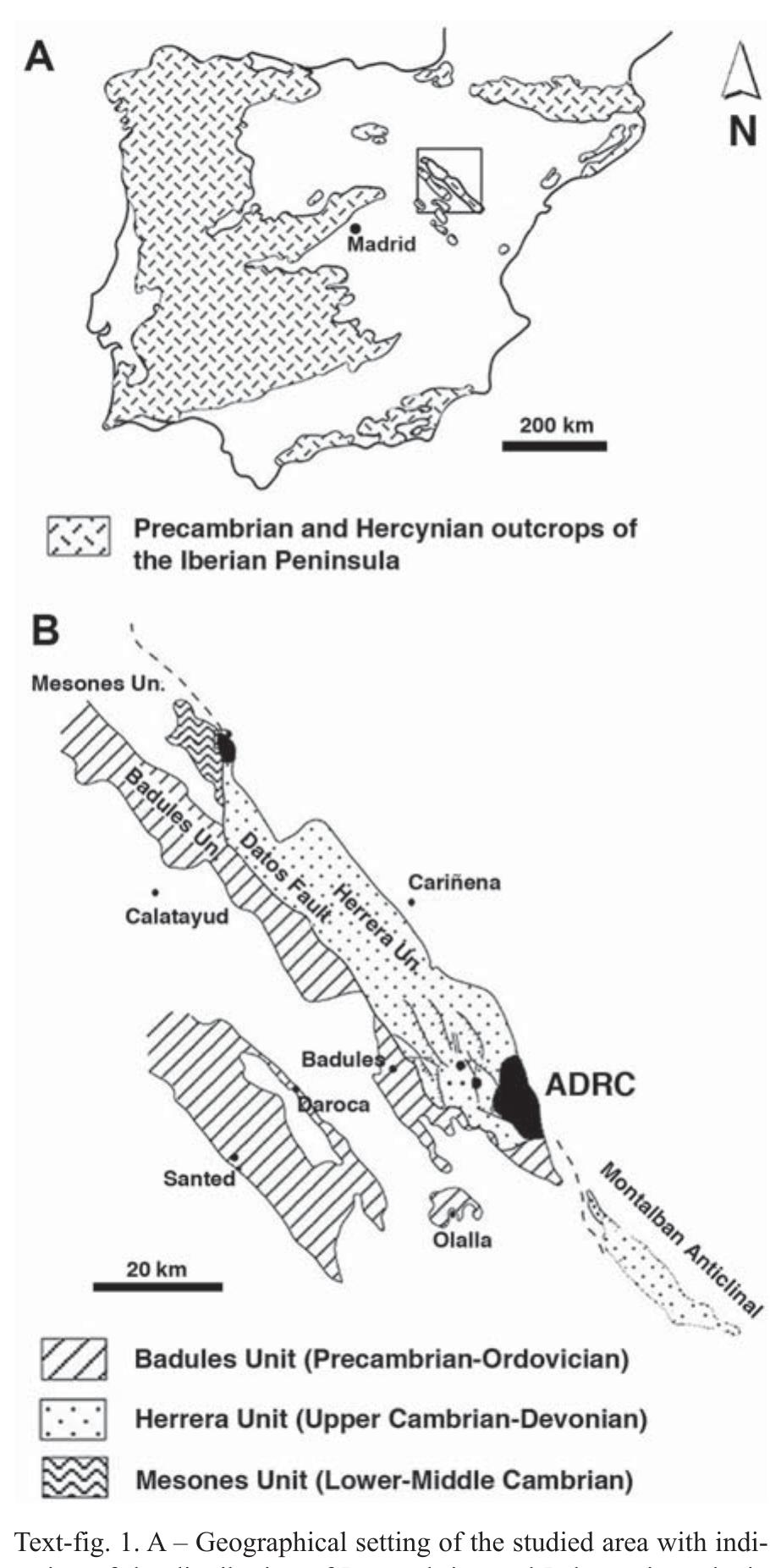 Leonodus Figure 1 - from Vascular structure of the earliest shark