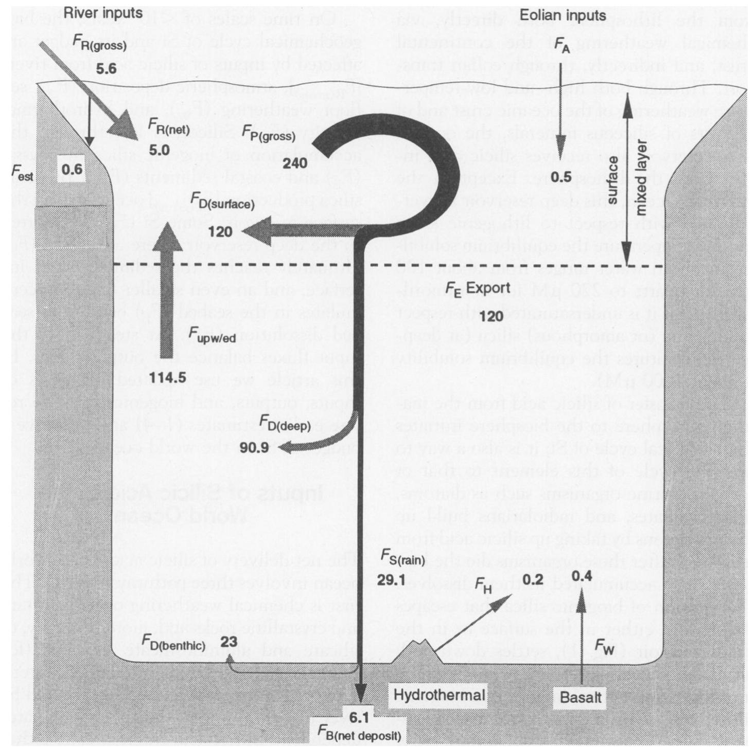 Figure 1 - from Production and dissolution of biogenic