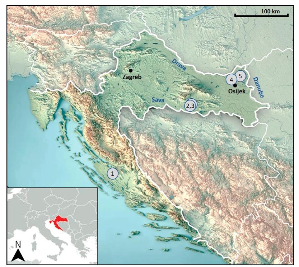 Figure 1. Location of the sites under study: 1) Bribirska glavica, 2) Prvéa, 3) Njive lvandol, 4) Novi Ceminac—Jauhov Sala’, and 5) Zmajevac. 