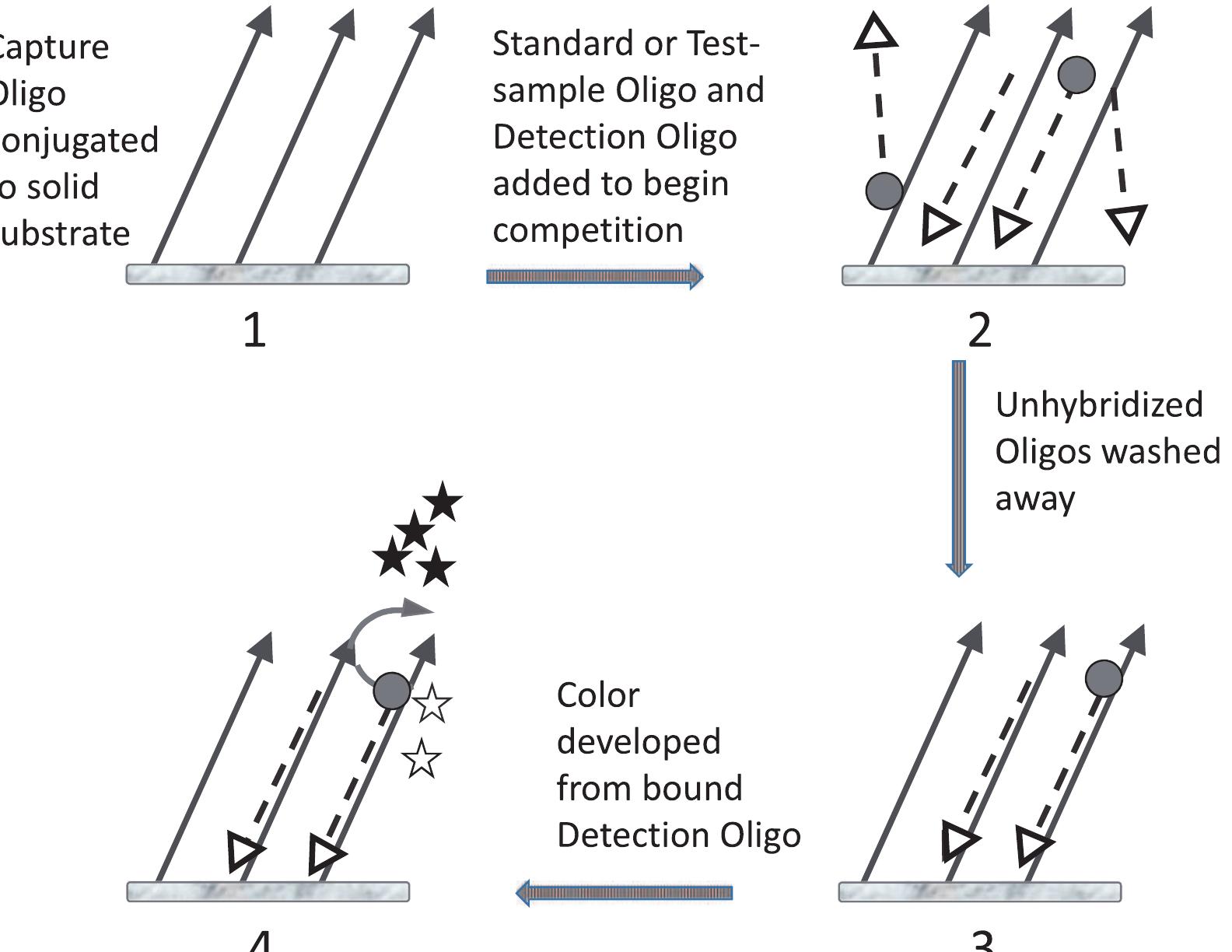 (PDF) Enzyme-linked oligonucleotide hybridization assay for direct ...