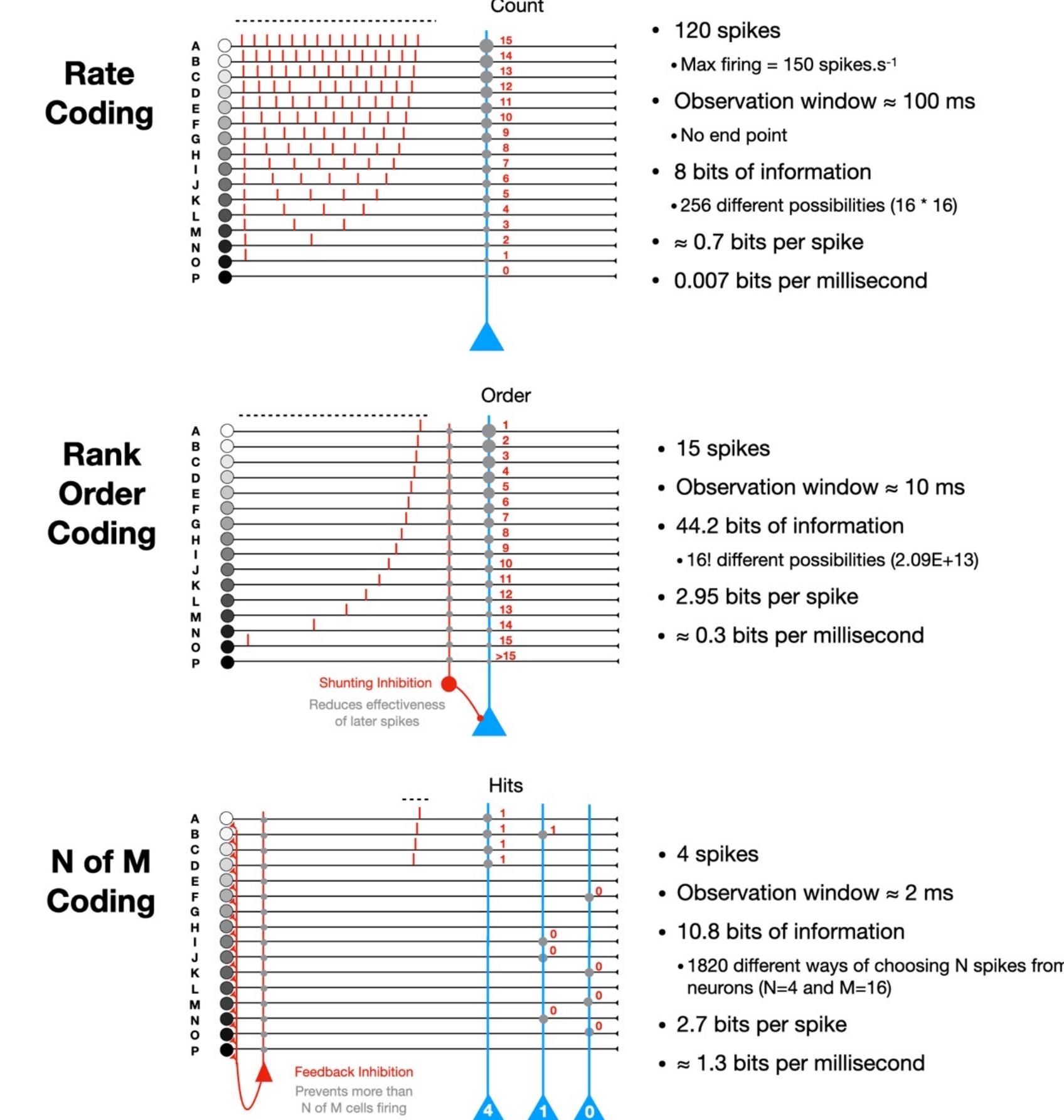 Comparison of three different spike-based coding strategies.