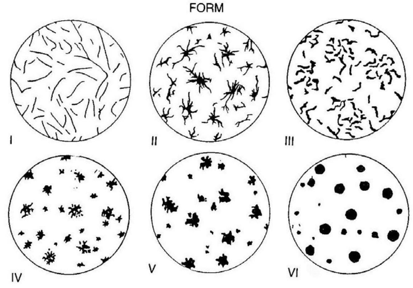 Graphitic Shape 3. the different shape of the graphite according to en iso