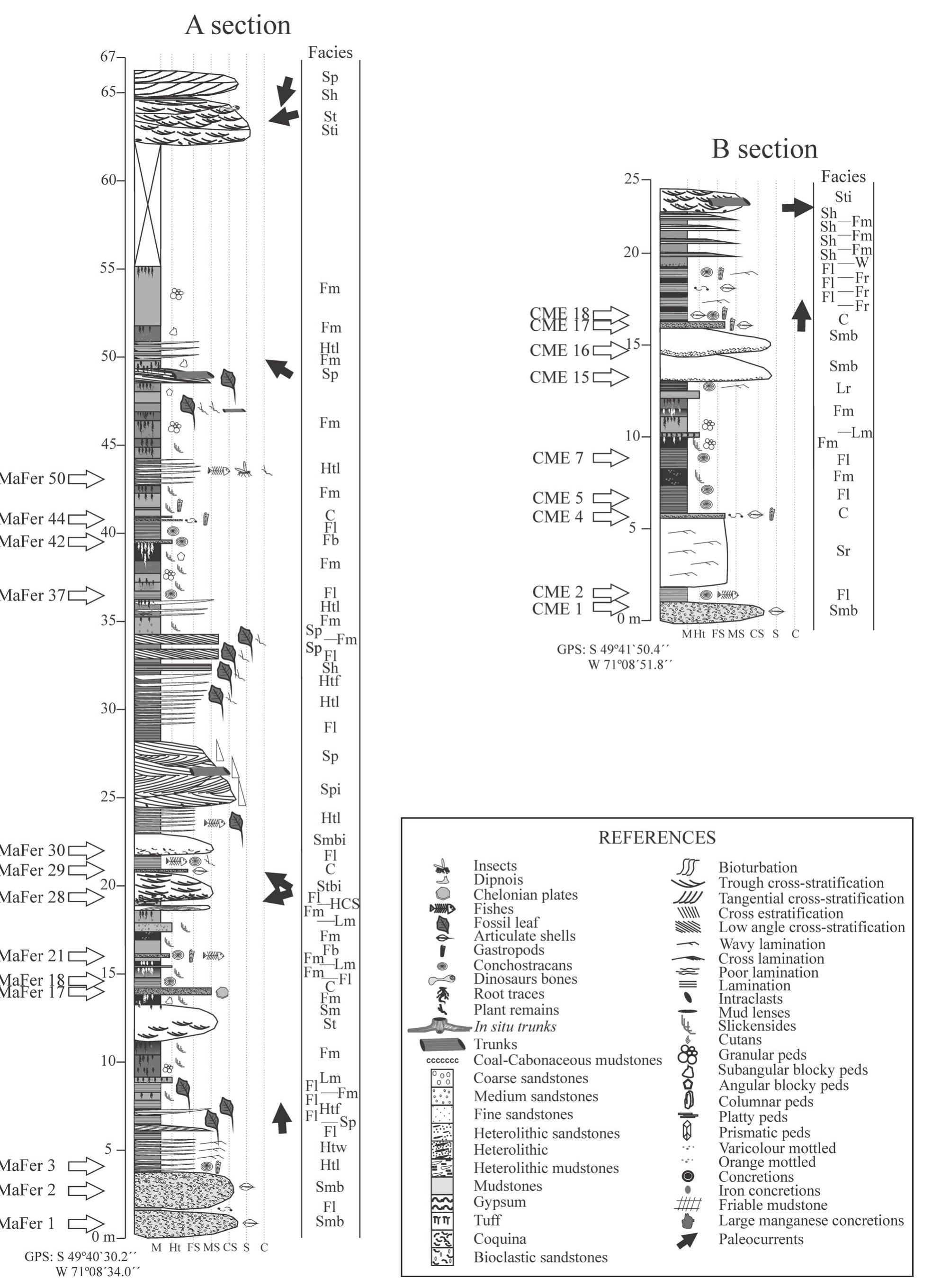 Sedimentological section showing vertical and lateral