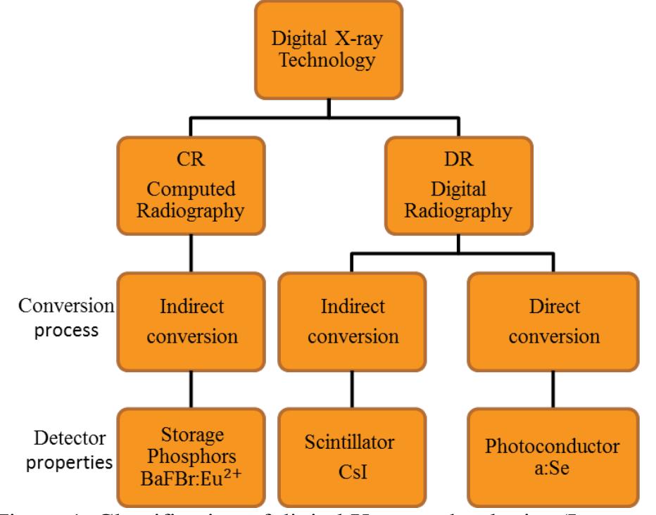 Projection Types Radiography After the network design which is done by considering
