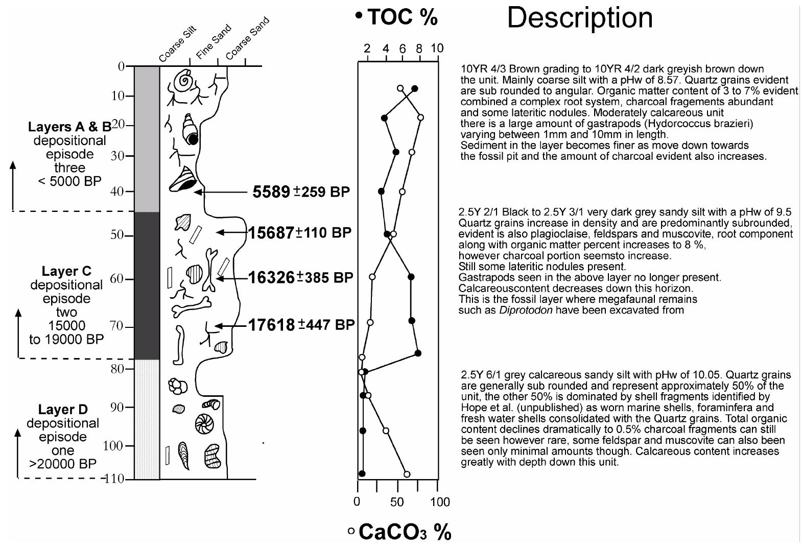 Paricular Pit Stratigraphical reconstruction of the black creek swamp