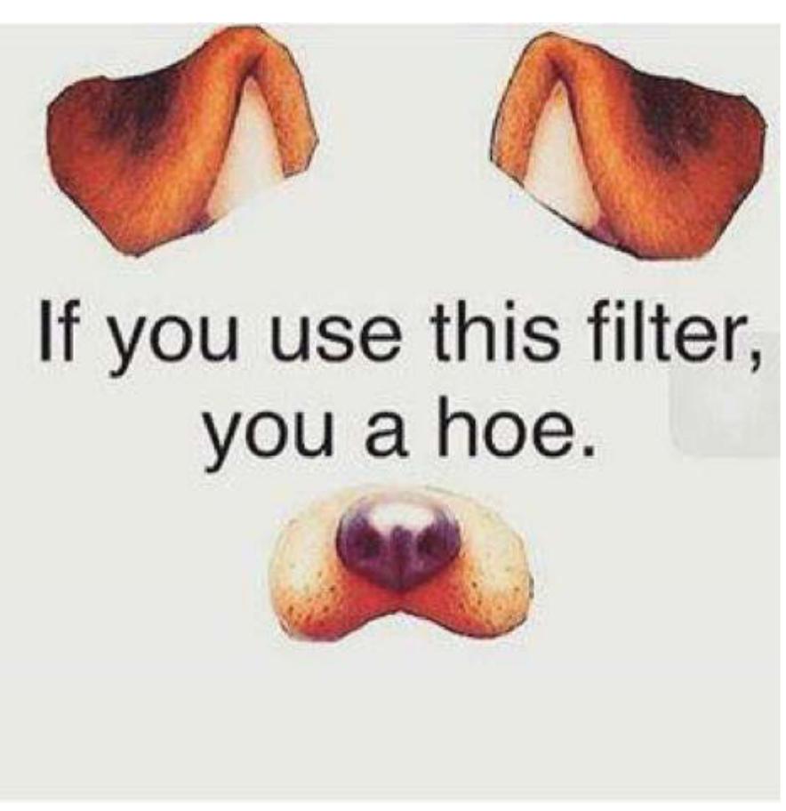 Figure 8.9 A meme found in a public image search (original text and content) 