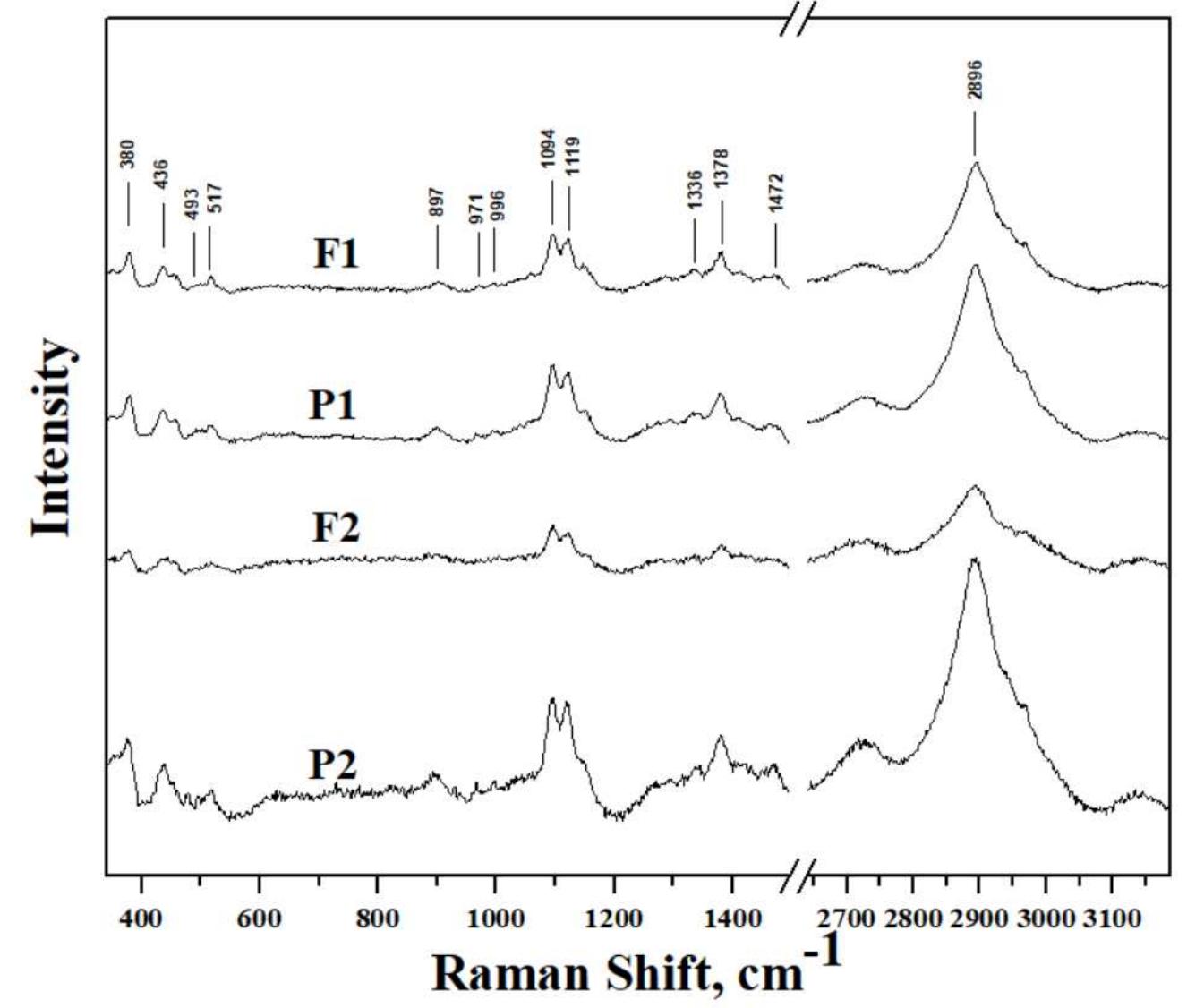 Raman spectra of selected pulp samples (labelled in the