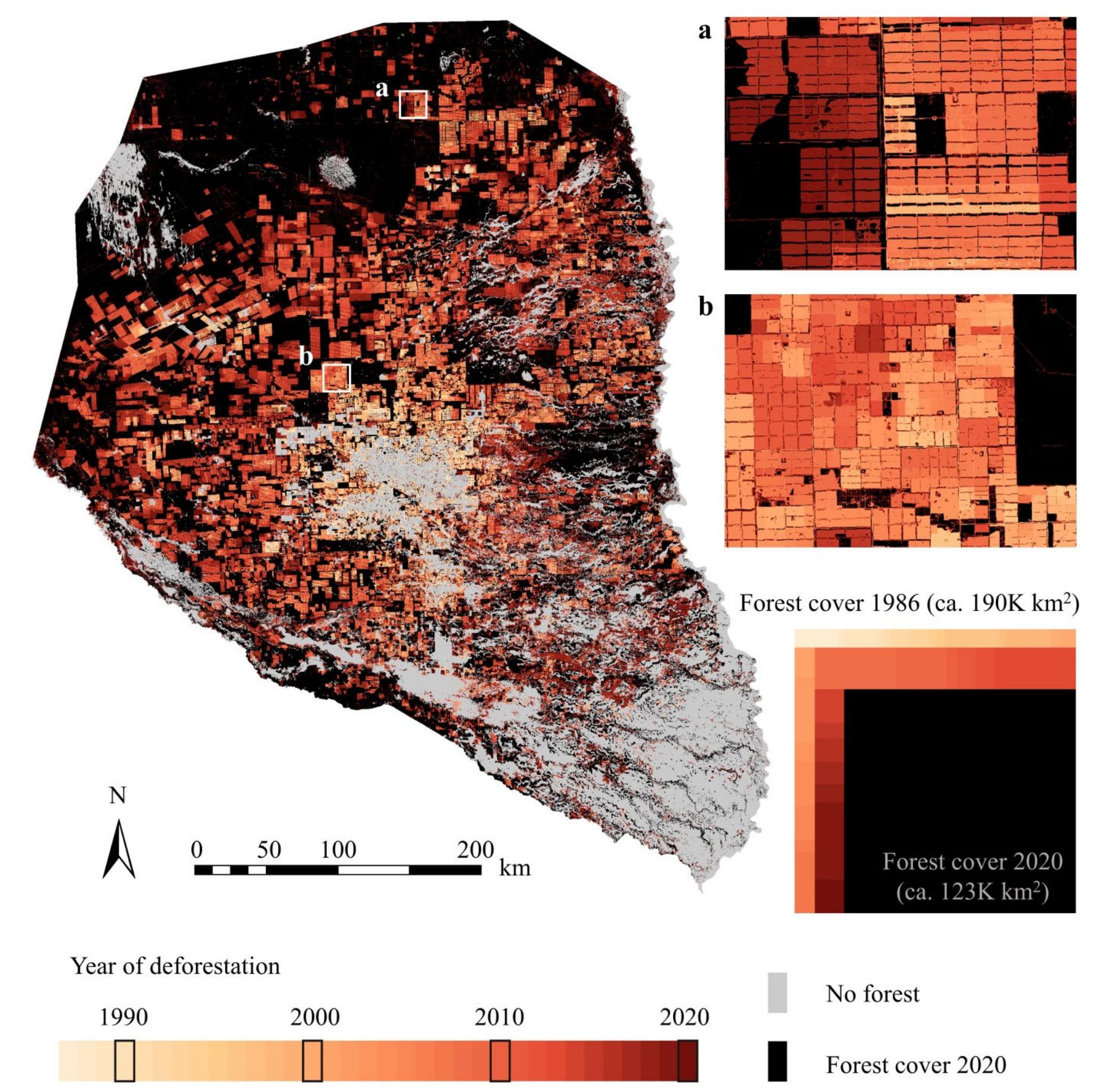 (PDF) Understanding 34 Years of Forest Cover Dynamics across the ...