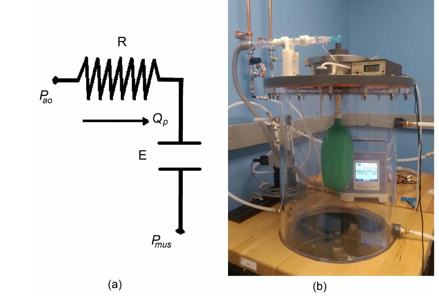 Electrical analogue of the respiratory mechanics model (a)