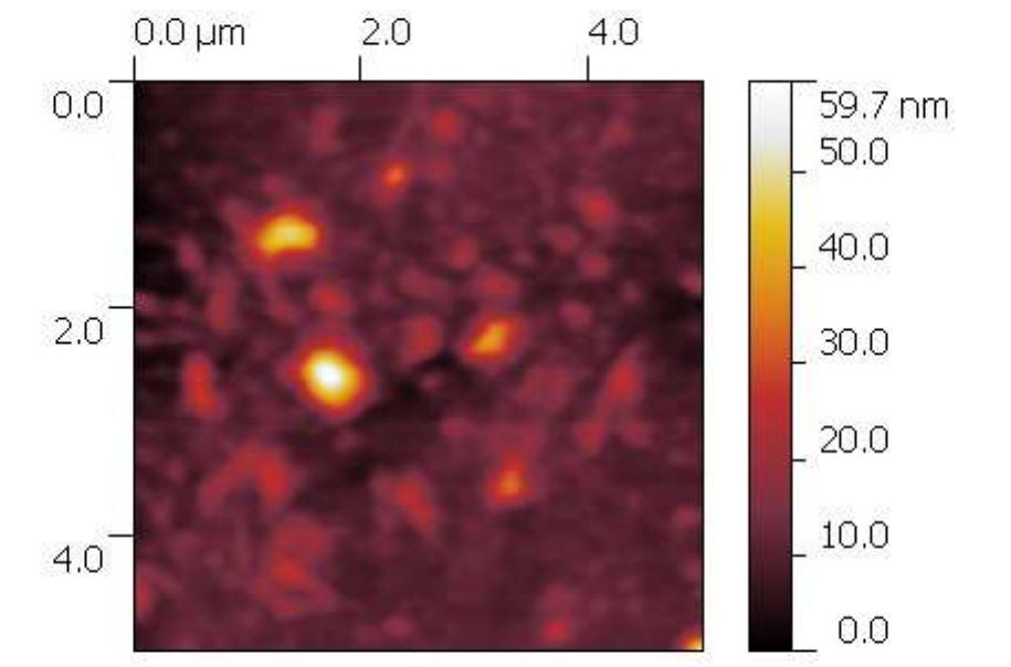 (PDF) XRD and XPS Analysis of TiO2 Thin Films Annealed in Different ...