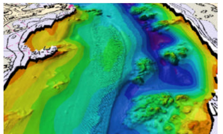 Multibeam sonar data offers complete bathymetric coverage of