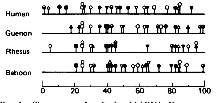 (PDF) 1979 Brown et al.- Rapid Evolution