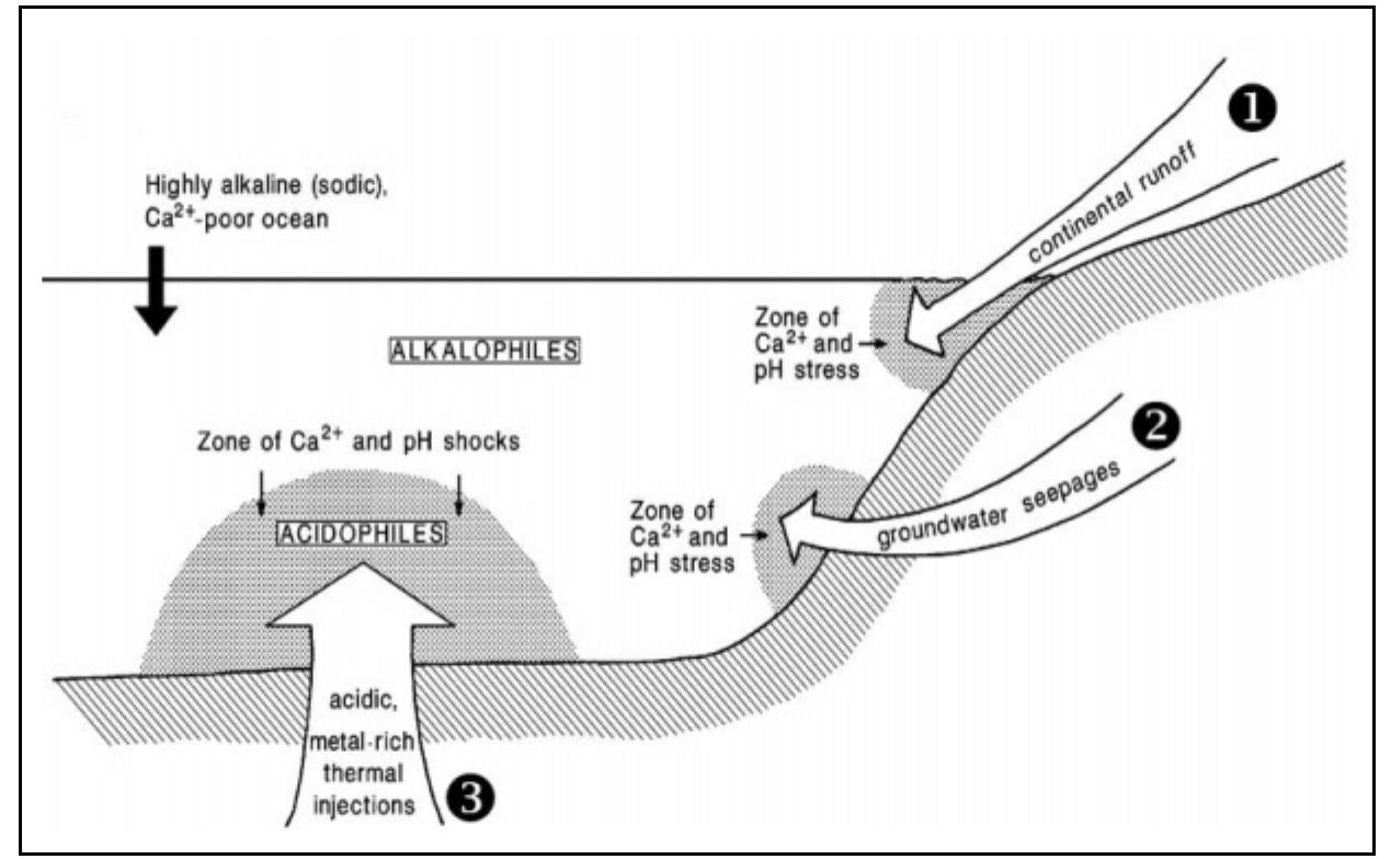 Main areas of calcium and ph stress in the early precambrian