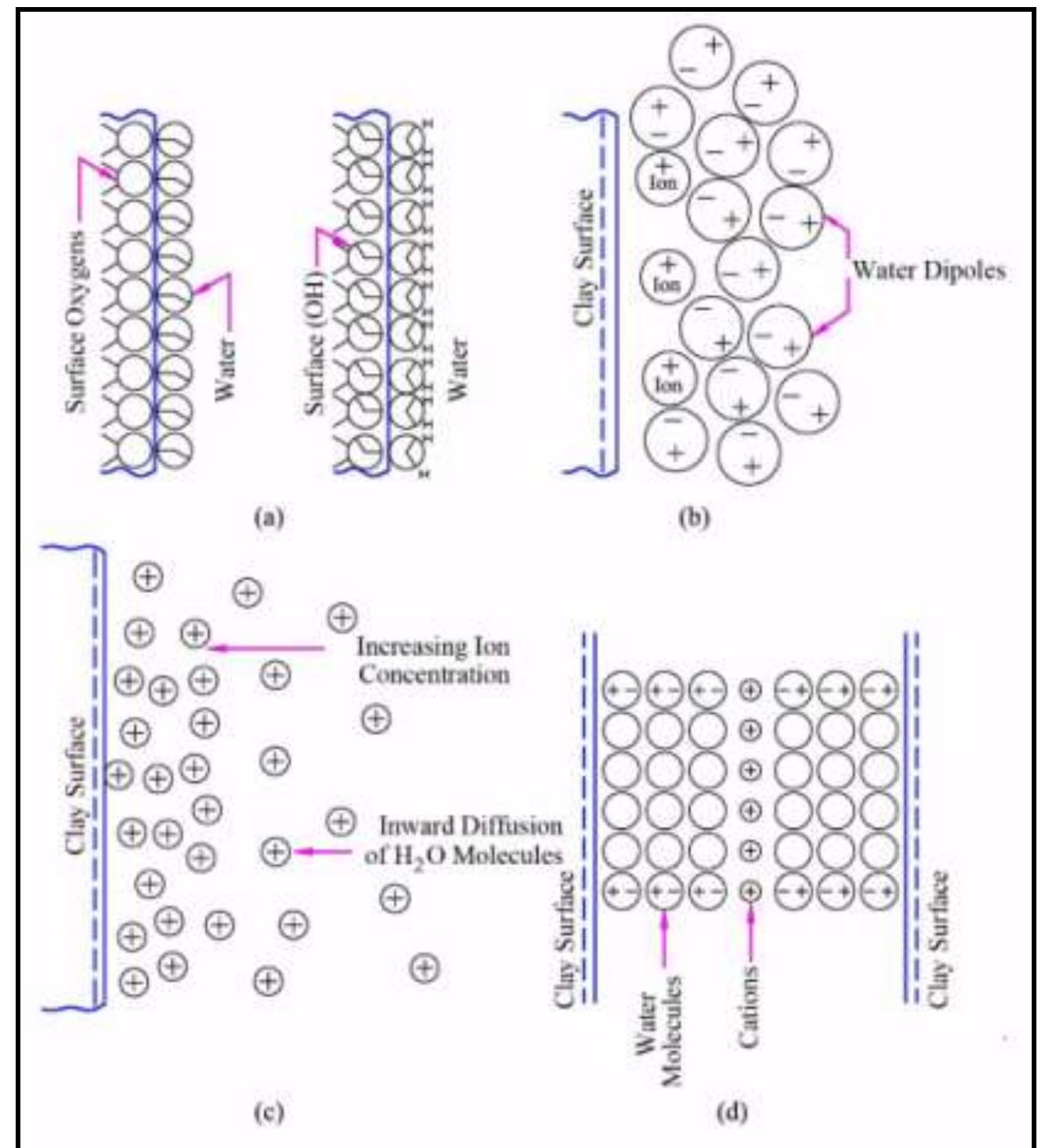 Figure 4: Different causes of clay water interaction (a) hydrogen bonding (b) ion hydration (c) attraction by osmosis (d) dipole attraction [17] 