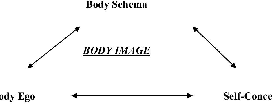 (PDF) Changes in body image perception after an outdoor physical ...