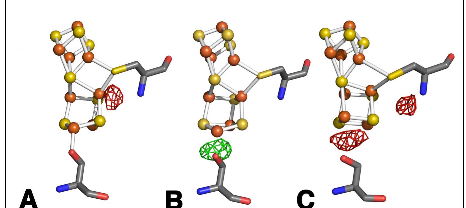 (PDF) Role of the P-cluster and FeMo-cofactors in nitrogenase catalysis