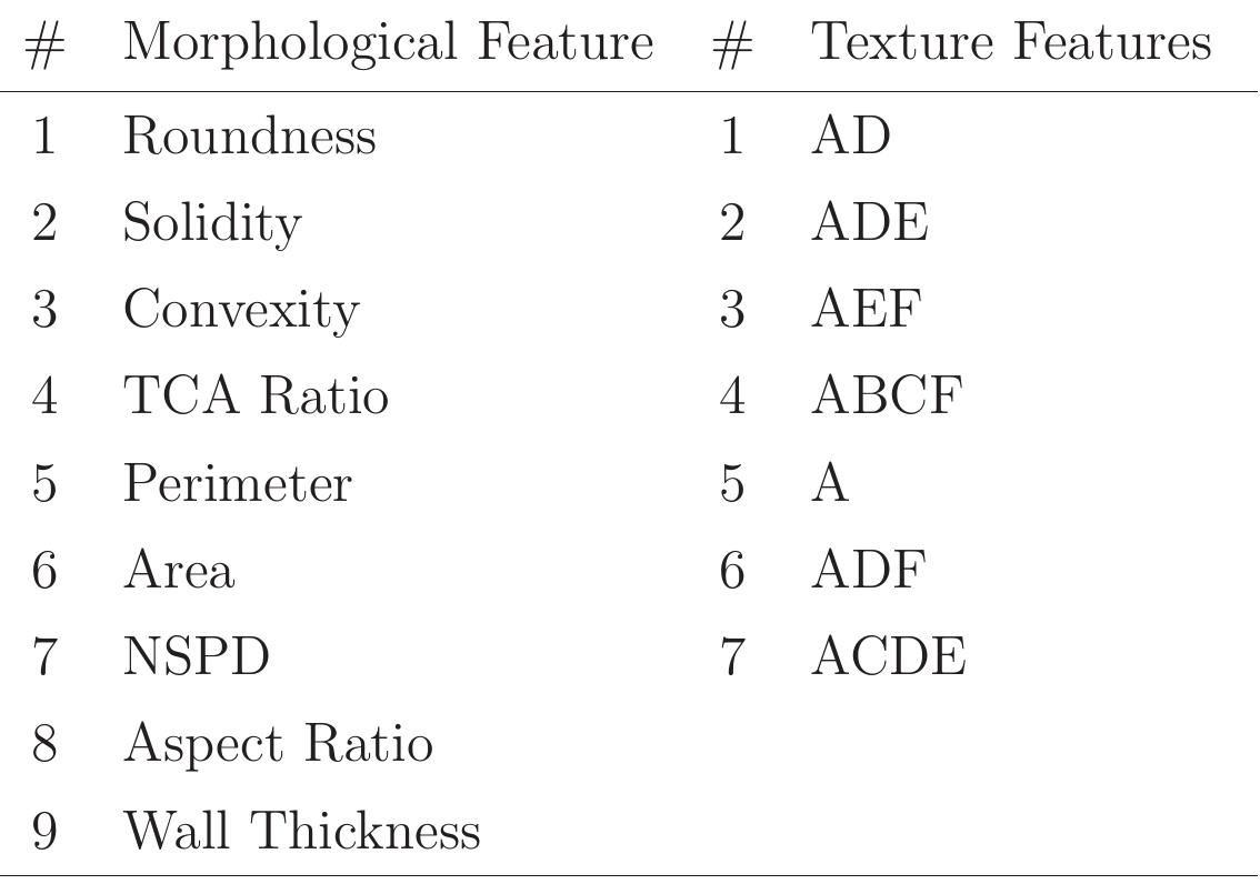 Table 82 - An automatic system for classification of breast