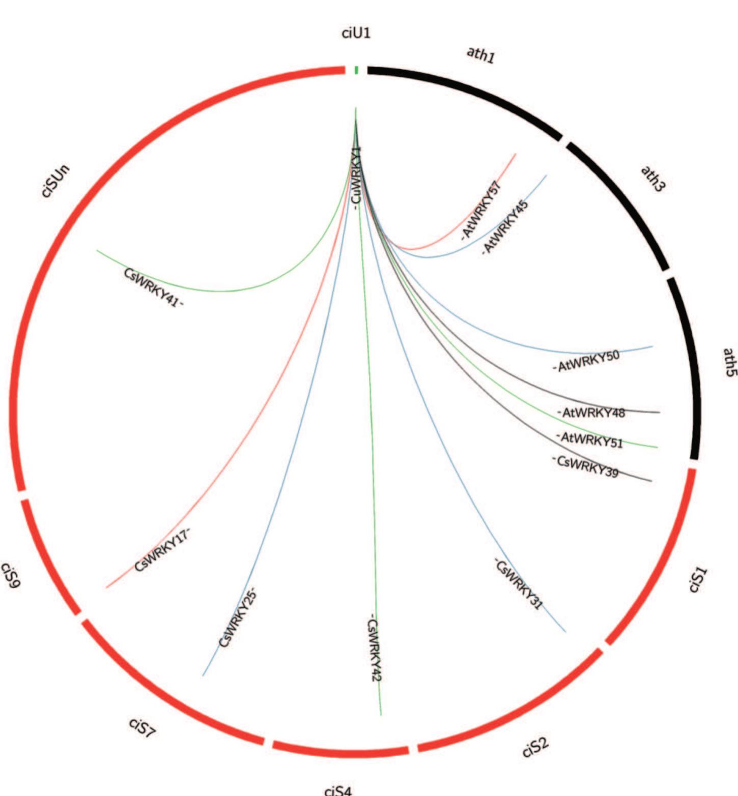 PDF) Genome-wide identification and molecular