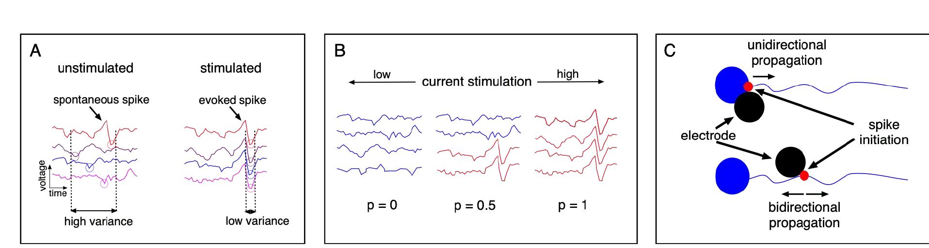 Schematic of ideas exploited in the algorithm. a.