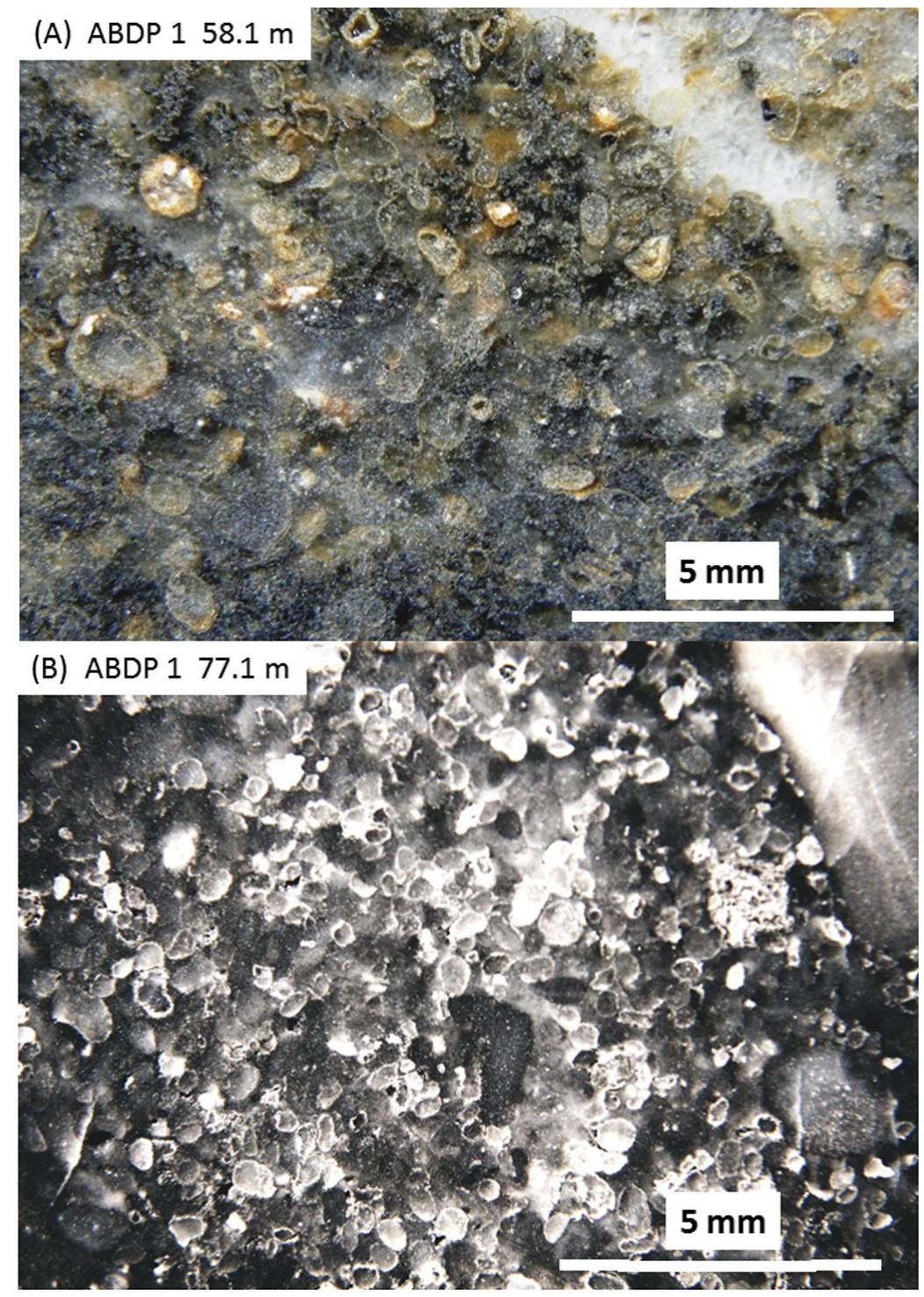 Sub Rounded Rocks Location Macro-photographs of mbcm rock slabs displaying densely