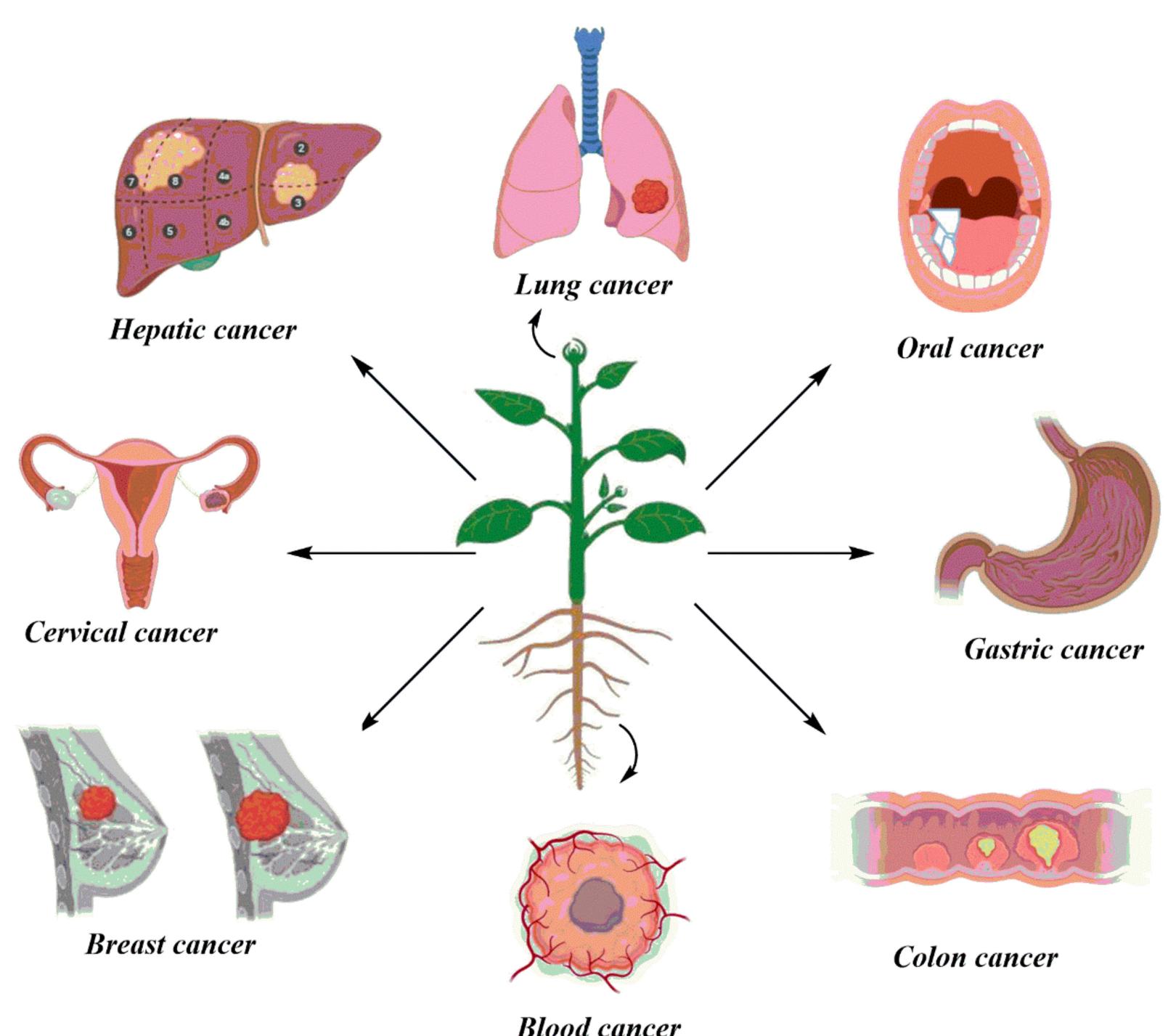 Figure 2 - from Anticancer Plants: A Review of the Active