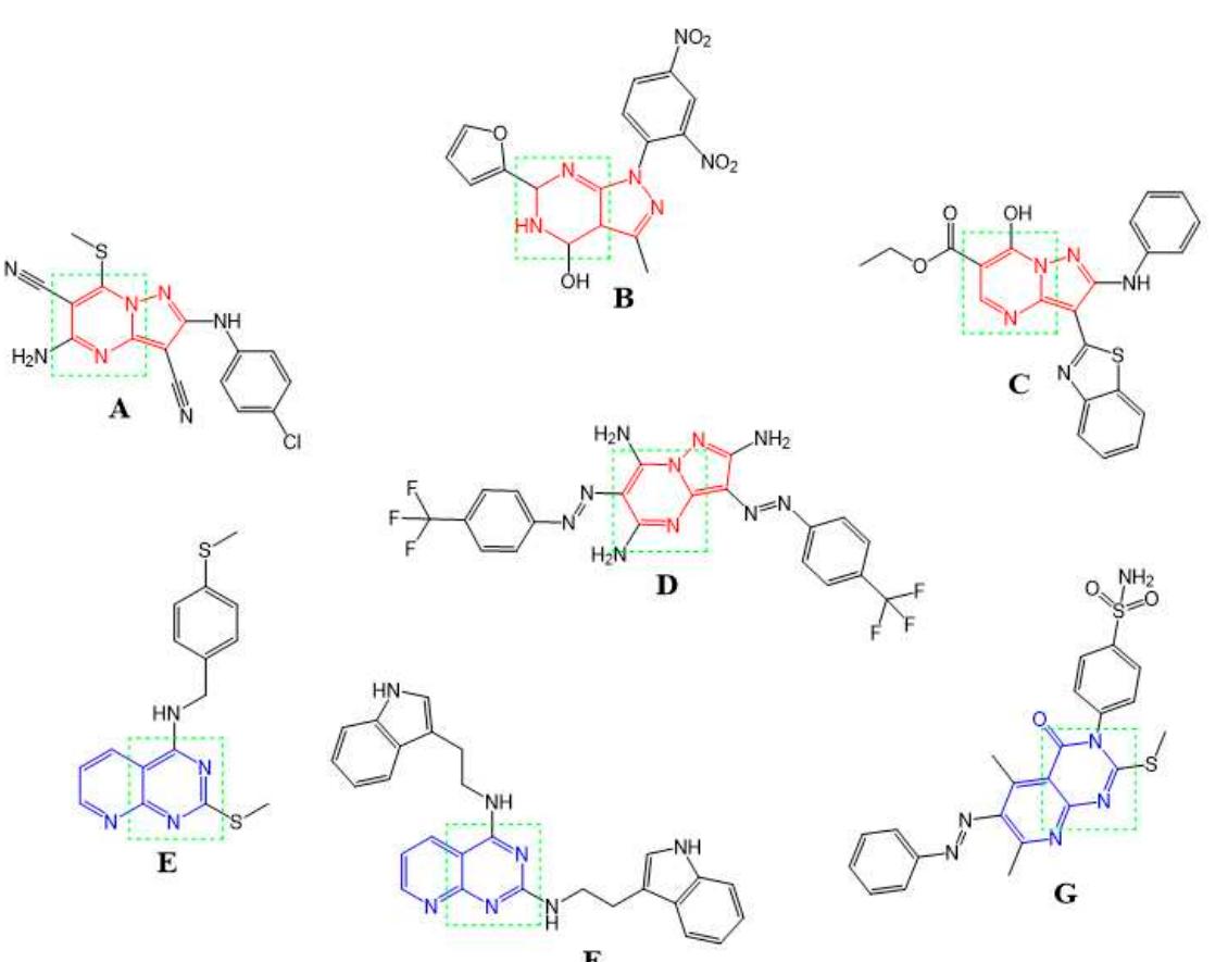 (PDF) Synthesis and In Silico Docking of New Pyrazolo[4,3-e]Pyrido[1,2 ...