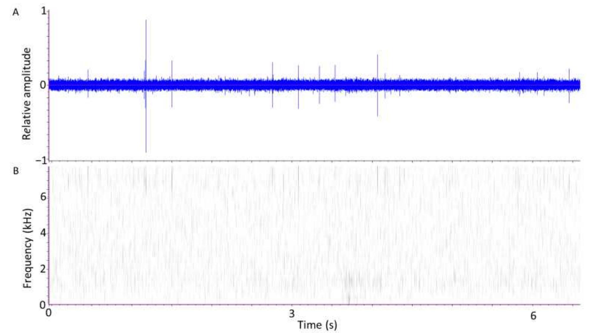 Oscillogram Vs Spectrogram (PDF) Automated Applications of Acoustics for Stored Product Insect ...