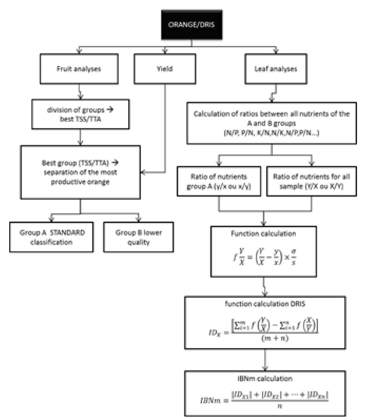 - organization chart of steps for dris and average nutrient
