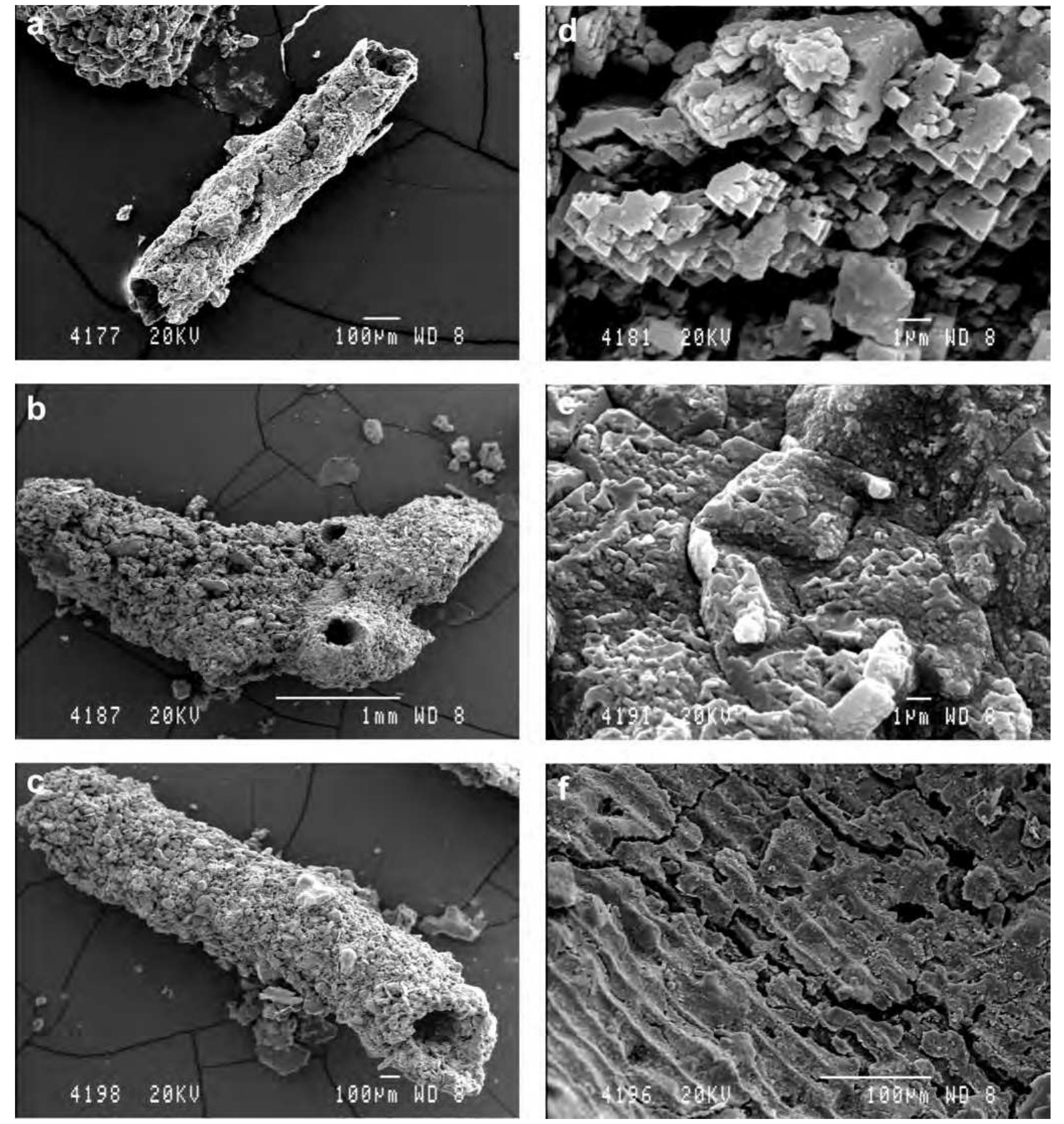 Sem microphotographs. a— morphology of calcite cement in