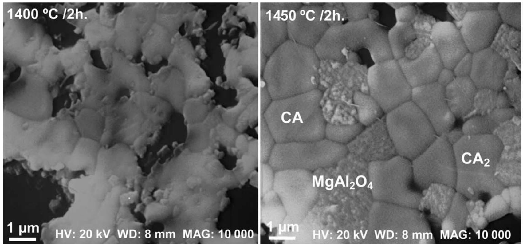 Sem micrographs of the microstructure of the samples treated