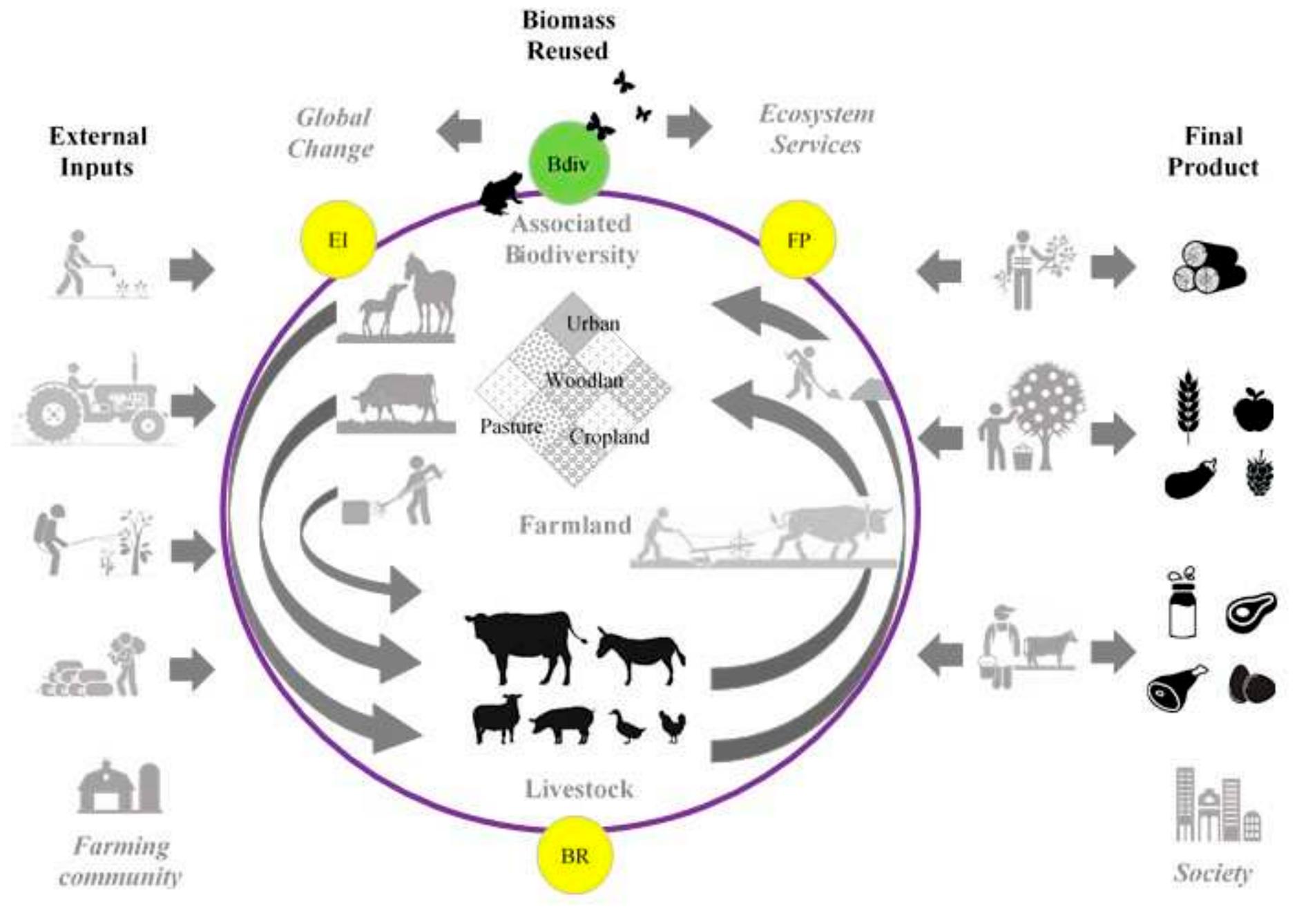 (PDF) Landscape Agroecology. the Dysfunctionalities of Industrial ...
