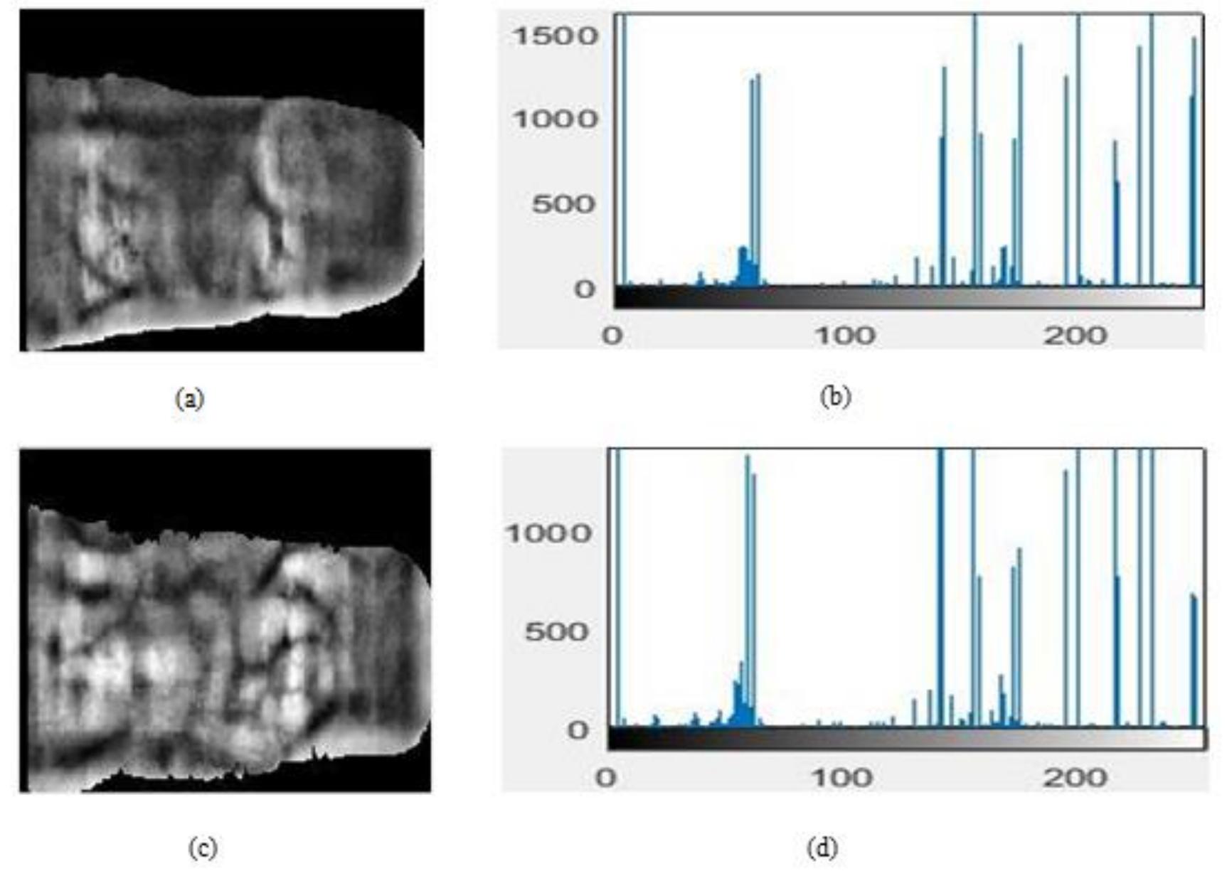 Figure 1 - from A BIOMETRIC RECOGNITION SYSTEM FOR HUMAN