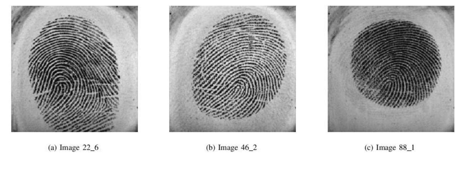 (PDF) An Efficient Fingerprint Image Encryption Algorithm