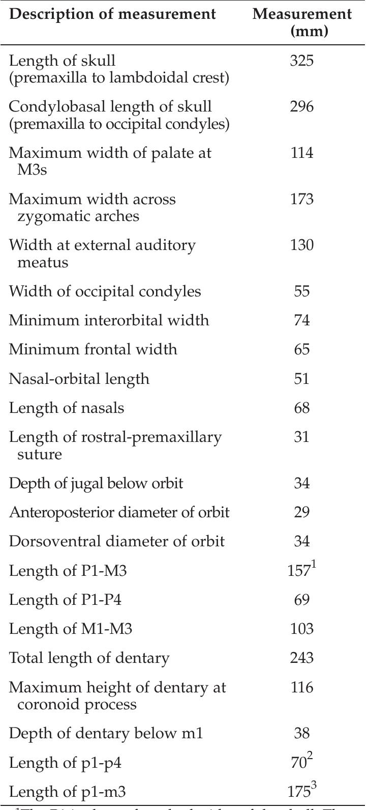 レコード PDF) The oreodont Merychyus major major (Mammalia