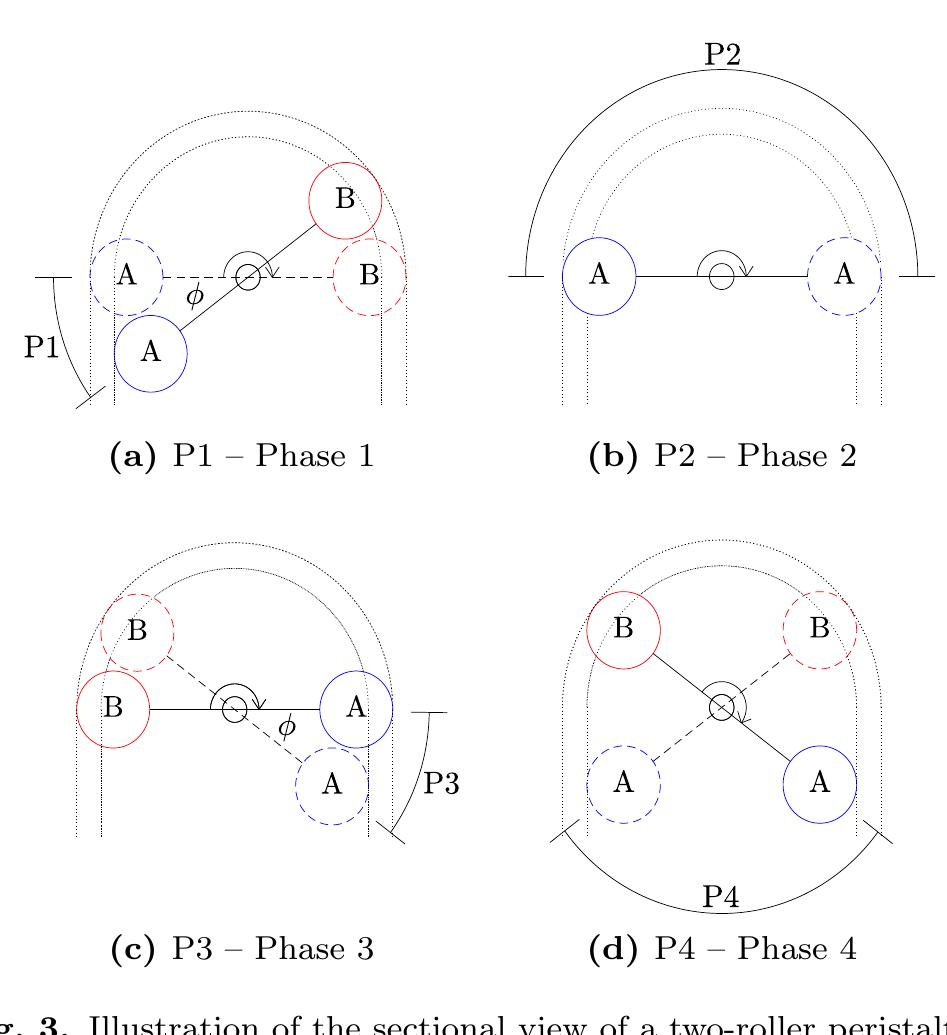 Figure 3 - Modelling the pulsatile flow rate and pressure
