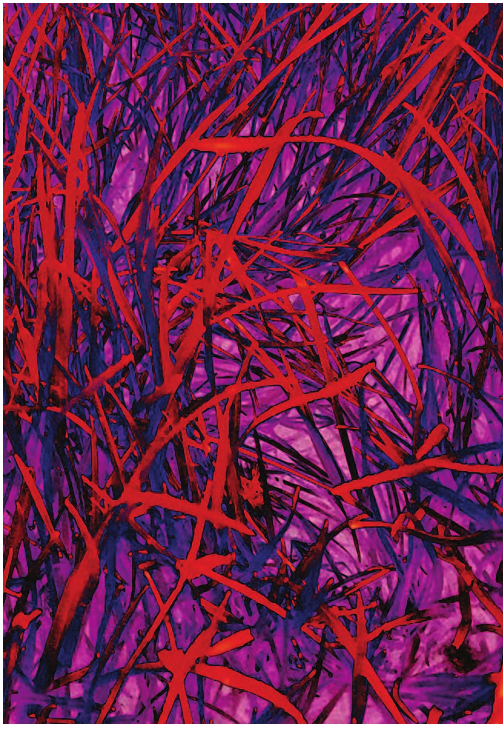 PDF) The feminist pornscapes, on feminist dramaturgical thinking in dance  and performance practice