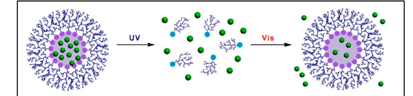 Illustration of model drug (green spheres) release upon 254