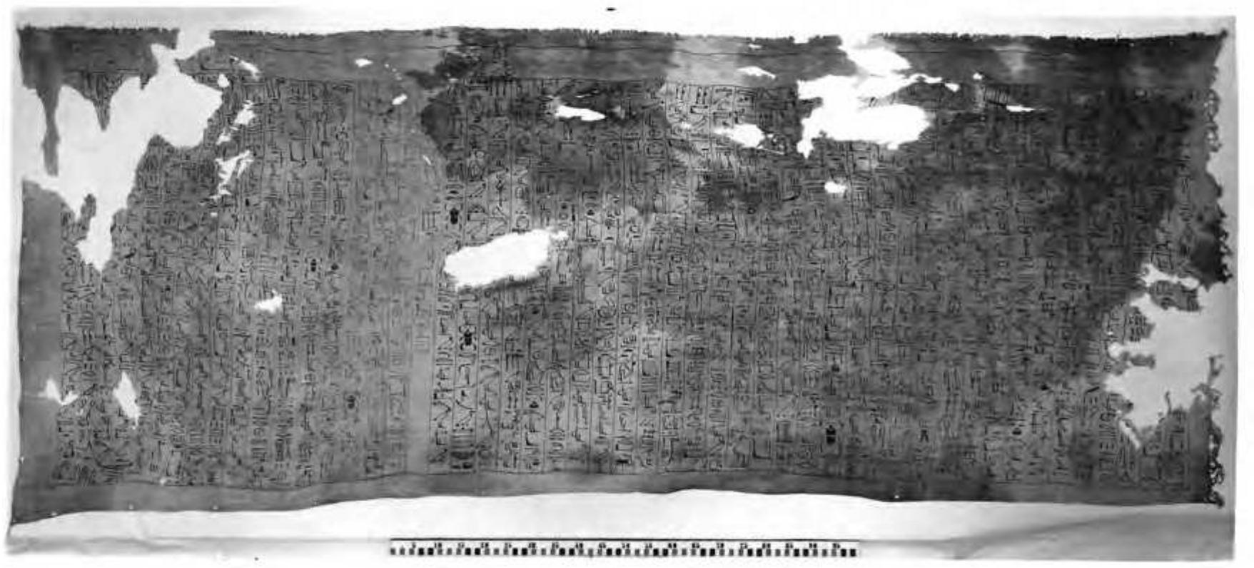 Peter F Dorman - University of Chicago