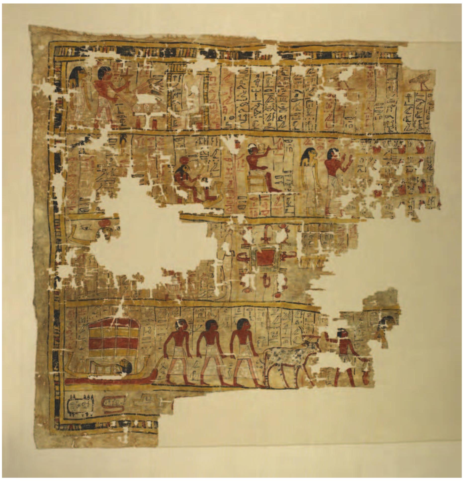 Peter F Dorman - University of Chicago