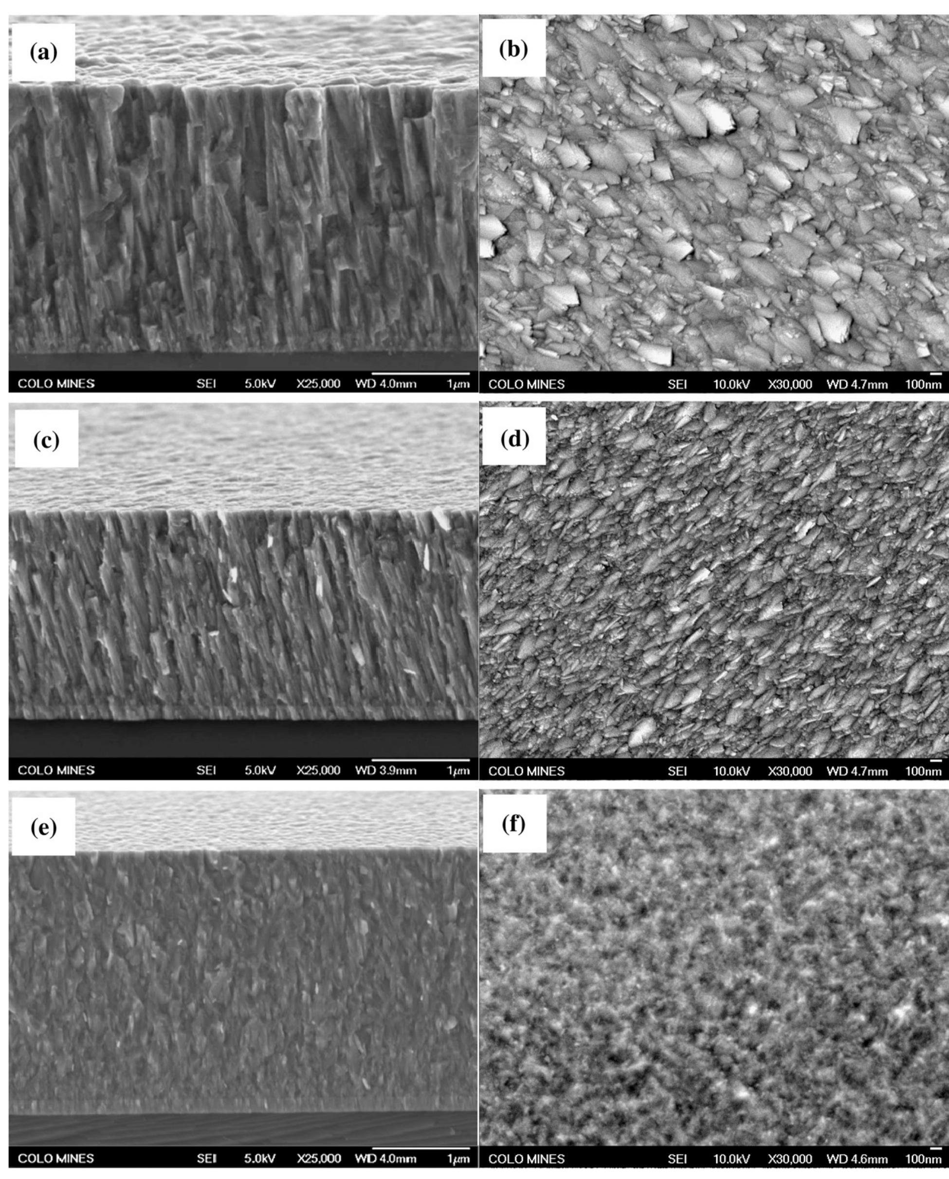 The cross-sectional and top view sem micrographs of crn