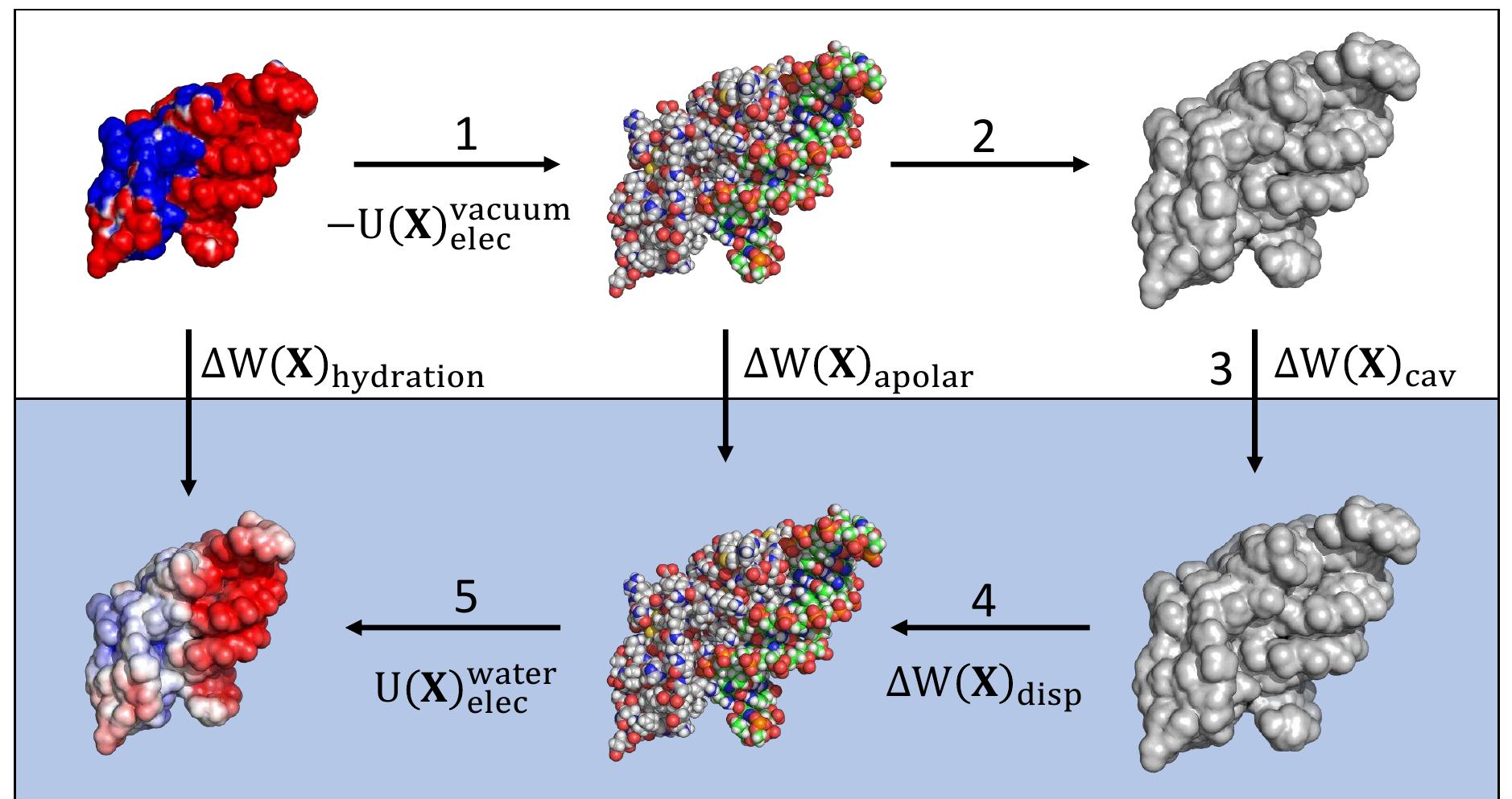 Figure 1 - from Polarizable atomic multipole-based AMOEBA